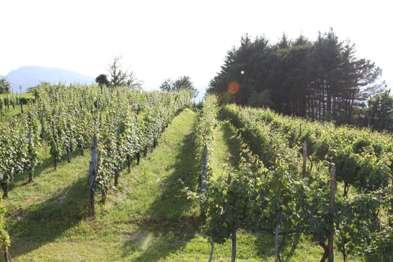 Il Podere Di Emore - Locazione Turistica Villafranca in Lunigiana Exterior foto